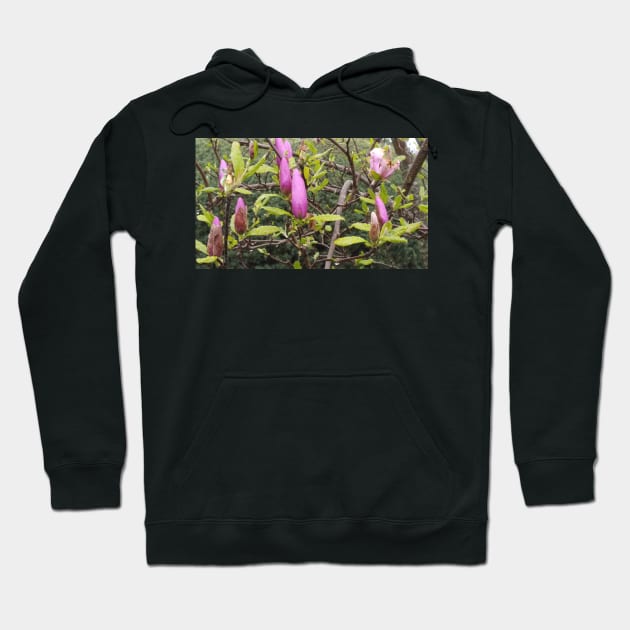 Spring Rain Flowers Hoodie by Elizabeths-Arts